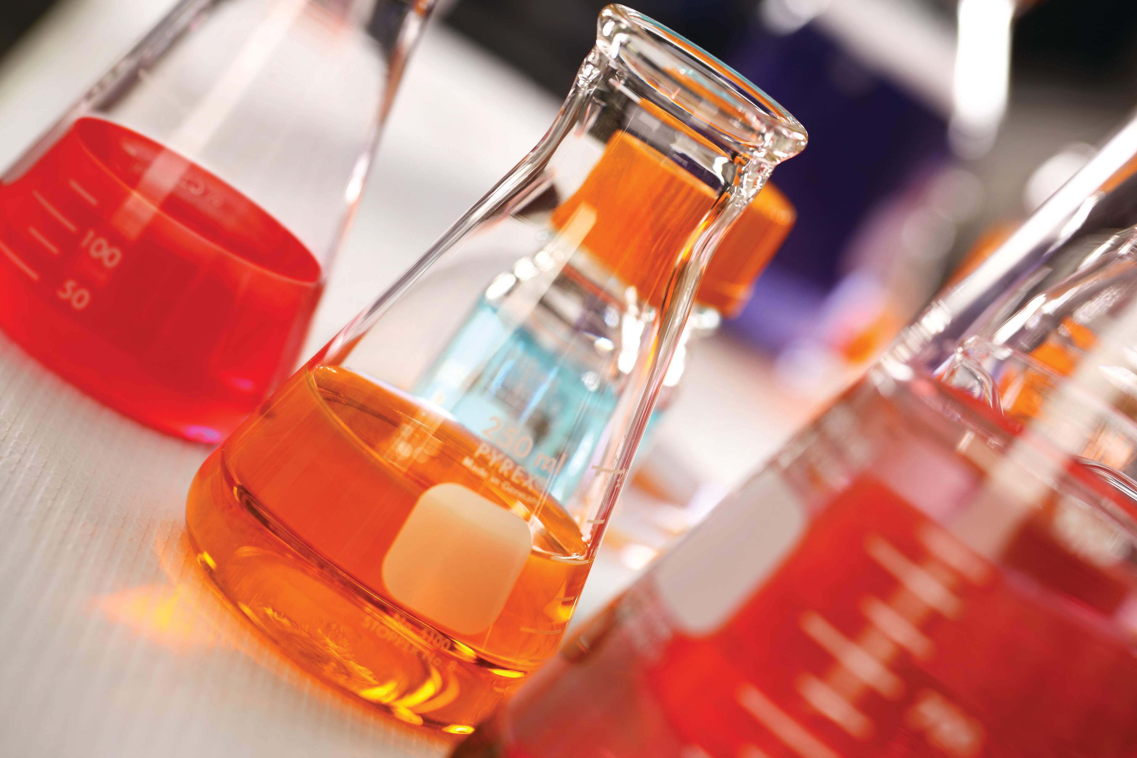 Fundamental research and scientific discovery